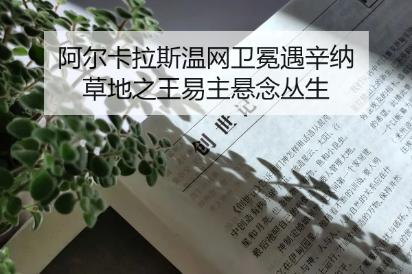 a-er-ka-la-si-wen-wang-wei-mian-yu-xin-na-cao-di-zhi-wang-yi-zhu-xuan-nian-cong-sheng-2-768.jpg