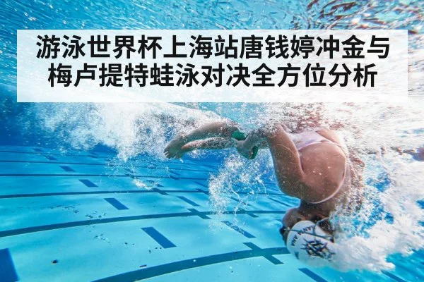 游泳世界杯上海站唐钱婷冲金与梅卢提特蛙泳对决全方位分析